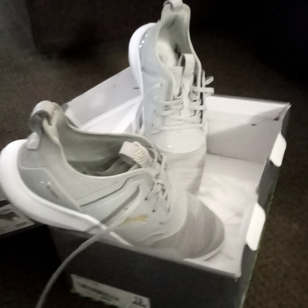 Puma Shies